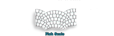 Fish scales